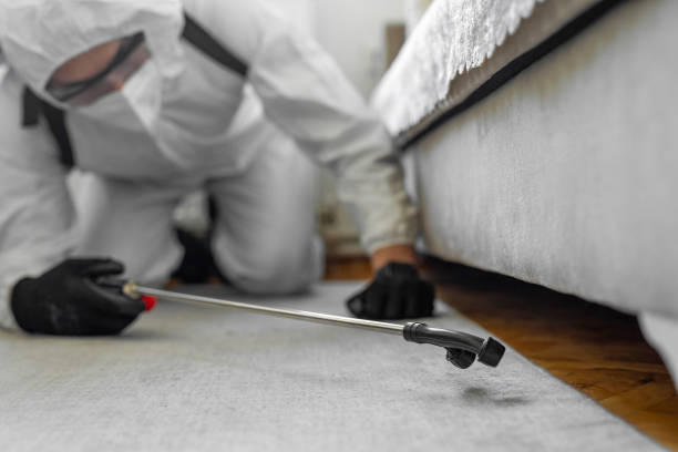 Professional Emergency Pest Control technician working in Mount Plymouth, FL
