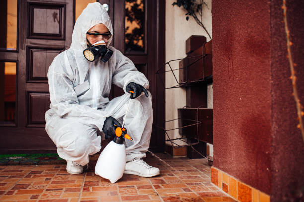 Reliable Emergency Pest Control contractor in Mount Plymouth, FL by Nex Pest Control