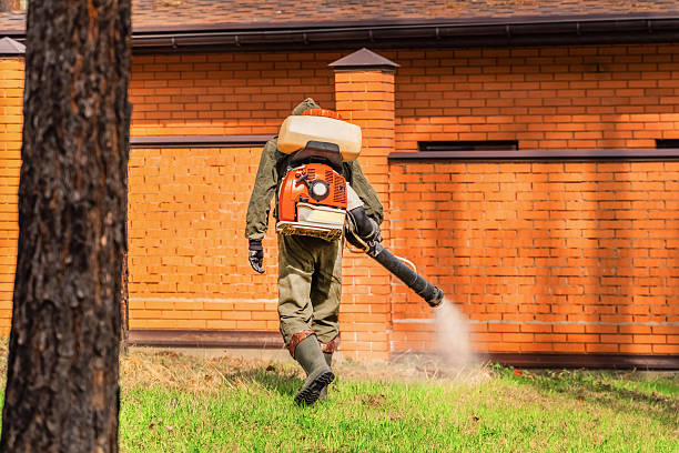 Trusted Emergency Pest Control service in Mount Plymouth, FL - Nex Pest Control